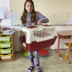 5M-ŠokováJulia